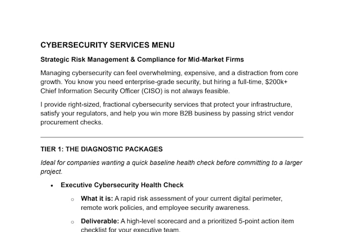 provide fractional ciso and cybersecurity solutions